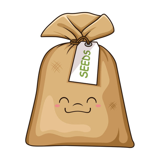 Kawaii seeds. PNG - JPG and vector EPS (infinitely scalable).