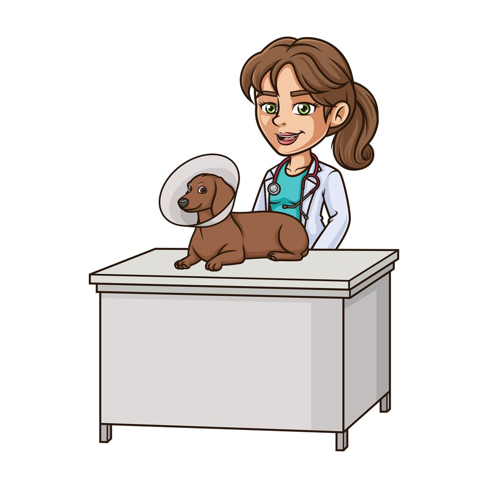 Female veterinarian dog cone. PNG - JPG and vector EPS (infinitely scalable).