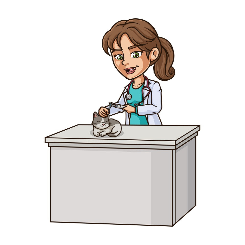Female veterinarian examining cat's ear. PNG - JPG and vector EPS (infinitely scalable).