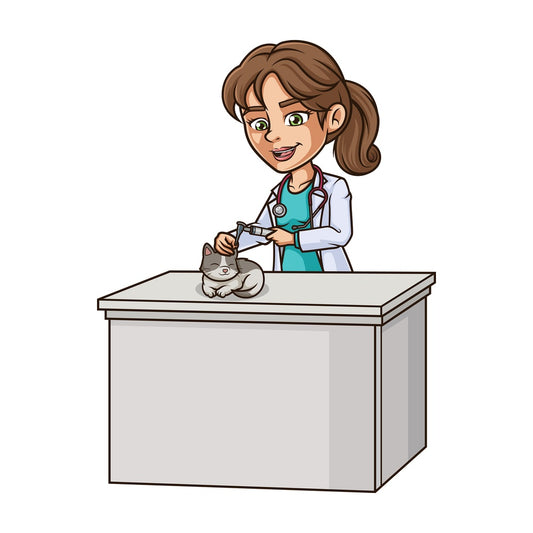 Female veterinarian examining cat's ear. PNG - JPG and vector EPS (infinitely scalable).