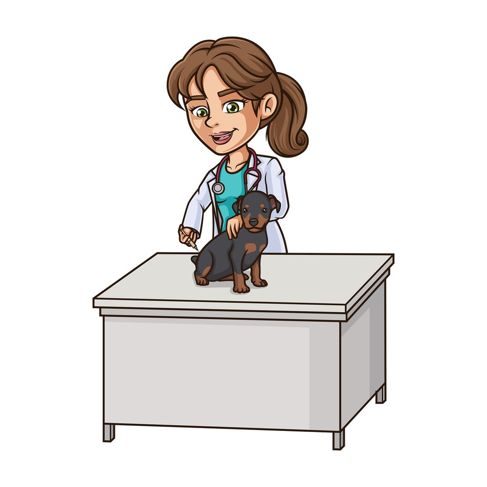 Female veterinarian vaccinating dog. PNG - JPG and vector EPS (infinitely scalable).