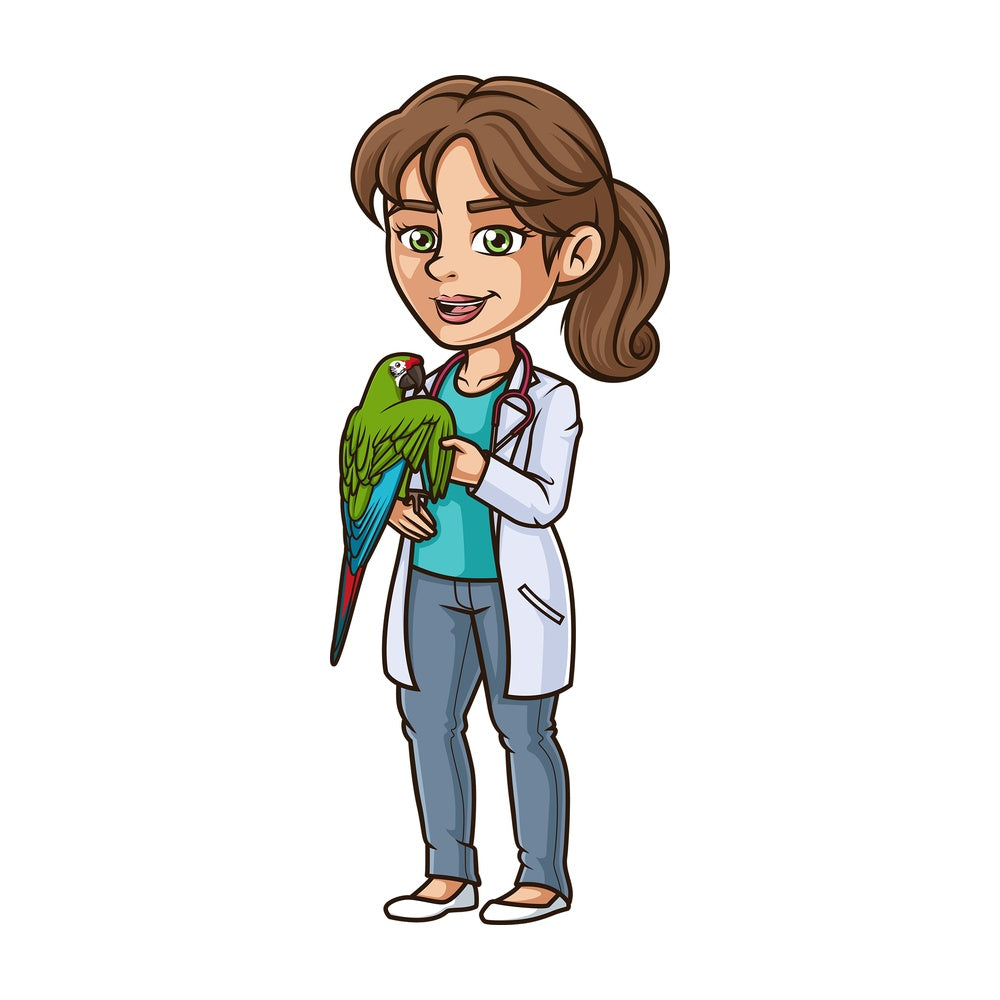Female veterinarian examining parrot. PNG - JPG and vector EPS (infinitely scalable).