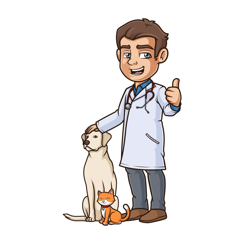 Happy male veterinarian. PNG - JPG and vector EPS (infinitely scalable).