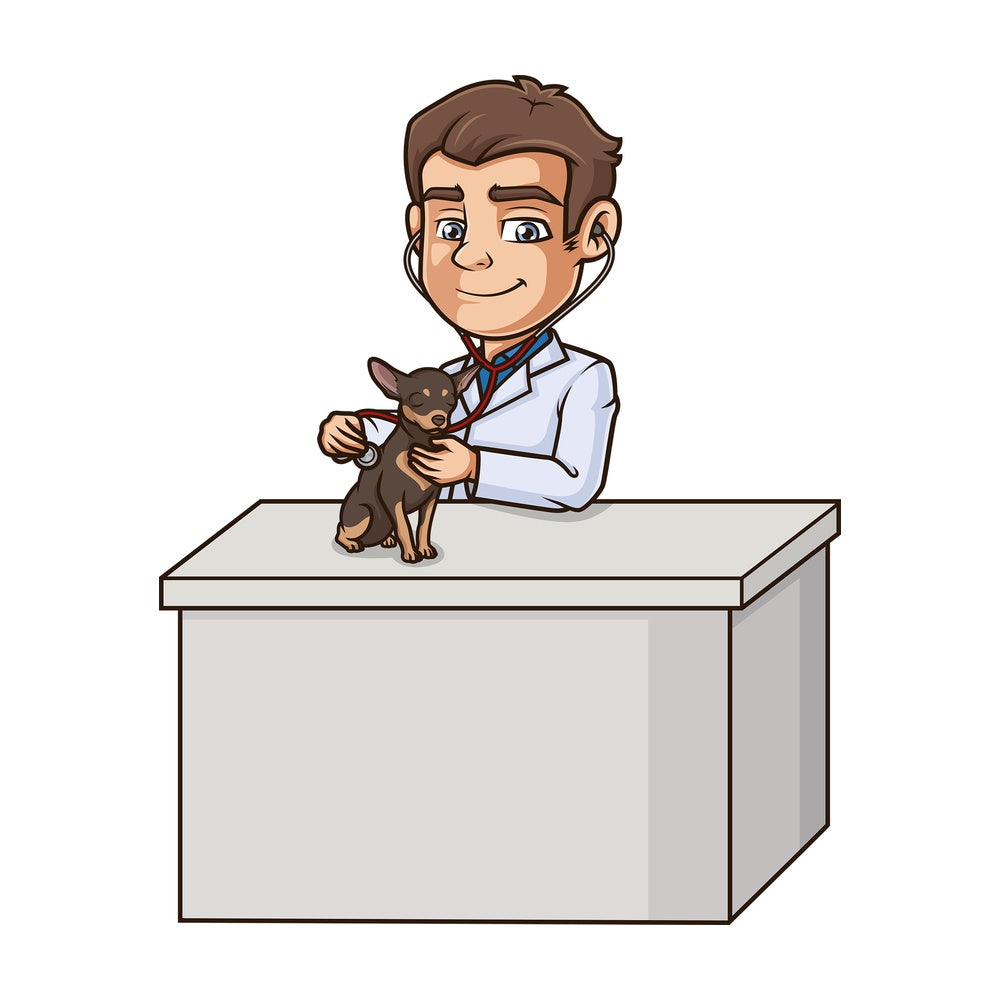 Male veterinarian examining dog. PNG - JPG and vector EPS (infinitely scalable).