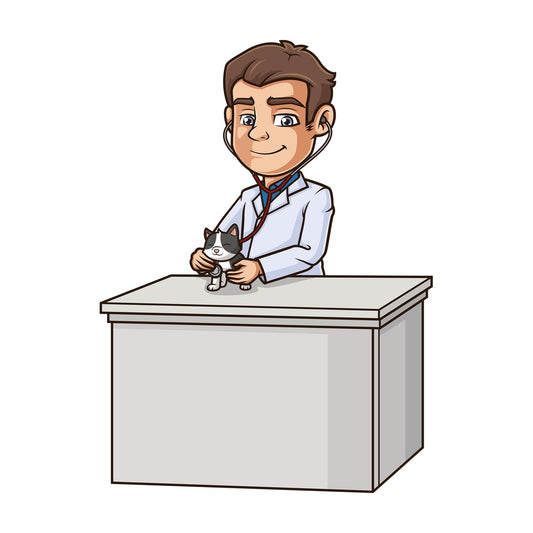 Male veterinarian examining cat. PNG - JPG and vector EPS (infinitely scalable).