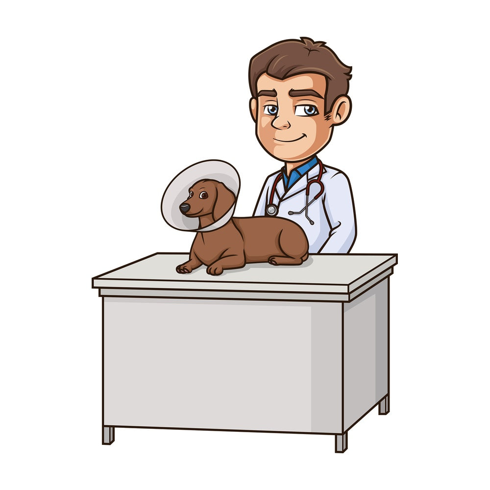 Male veterinarian dog cone. PNG - JPG and vector EPS (infinitely scalable).