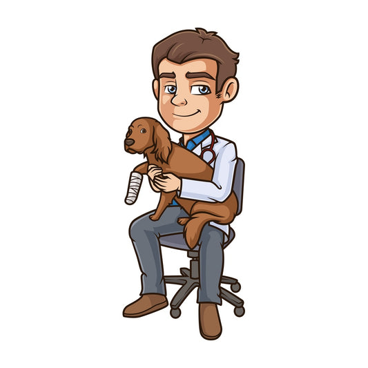 Male veterinarian injured dog. PNG - JPG and vector EPS (infinitely scalable).