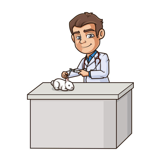 Male veterinarian examining rabbit. PNG - JPG and vector EPS (infinitely scalable).