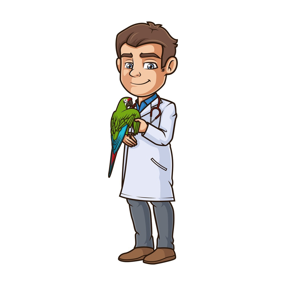 Male veterinarian examining parrot. PNG - JPG and vector EPS (infinitely scalable).