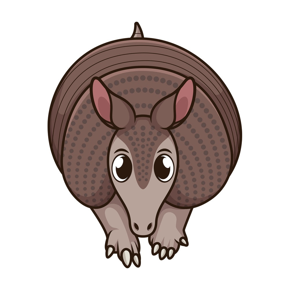 Armadillo front view. PNG - JPG and vector EPS (infinitely scalable).