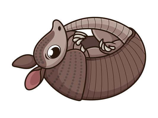 Armadillo laying on its back. PNG - JPG and vector EPS (infinitely scalable).