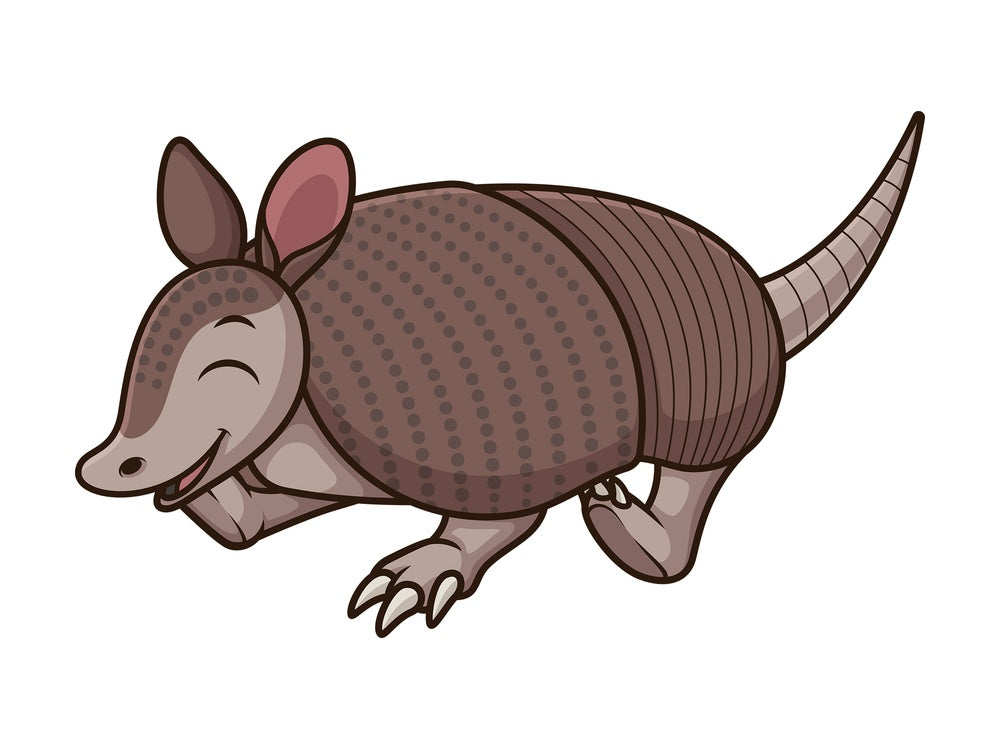 Happy armadillo. PNG - JPG and vector EPS (infinitely scalable).