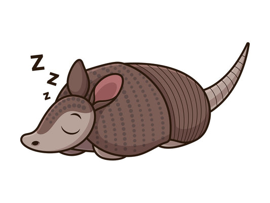 Armadillo sleeping. PNG - JPG and vector EPS (infinitely scalable).