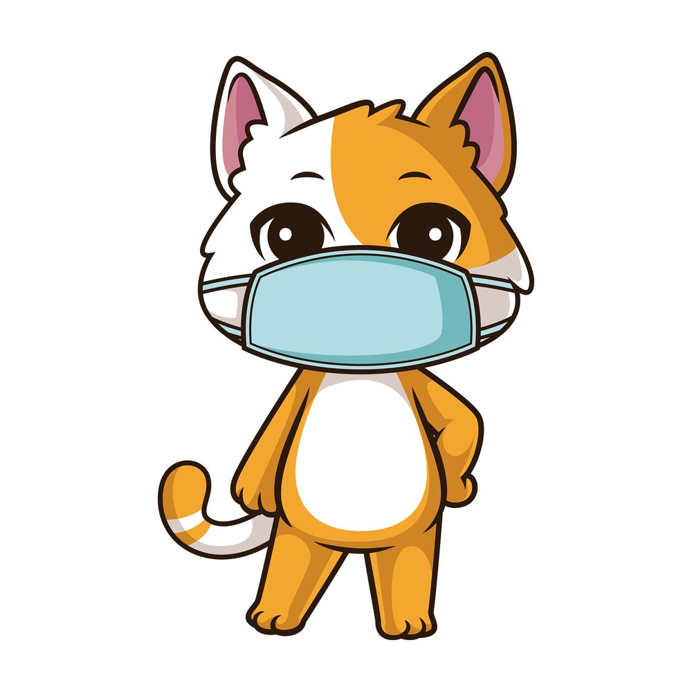 Cat with face mask. PNG - JPG and vector EPS (infinitely scalable).