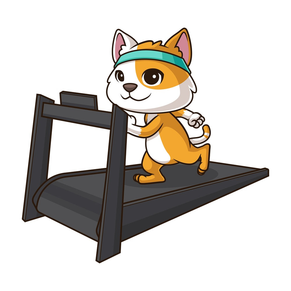 Cat working out. PNG - JPG and vector EPS (infinitely scalable).