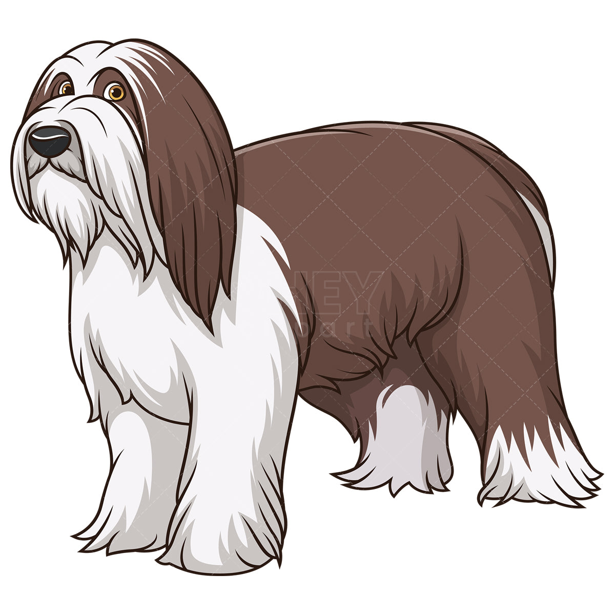 Royalty-free stock vector illustration of a bearded collie dog.