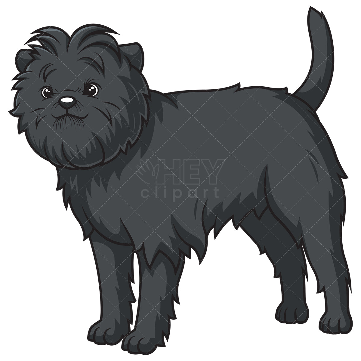 Royalty-free stock vector illustration of a gorgeous affenpinscher.