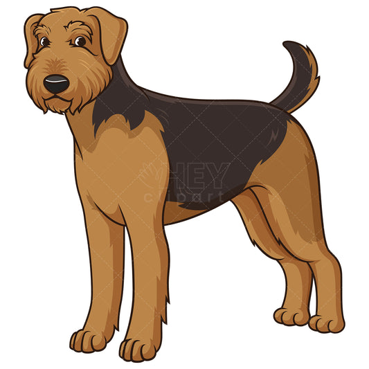 Royalty-free stock vector illustration of a gorgeous airedale terrier.