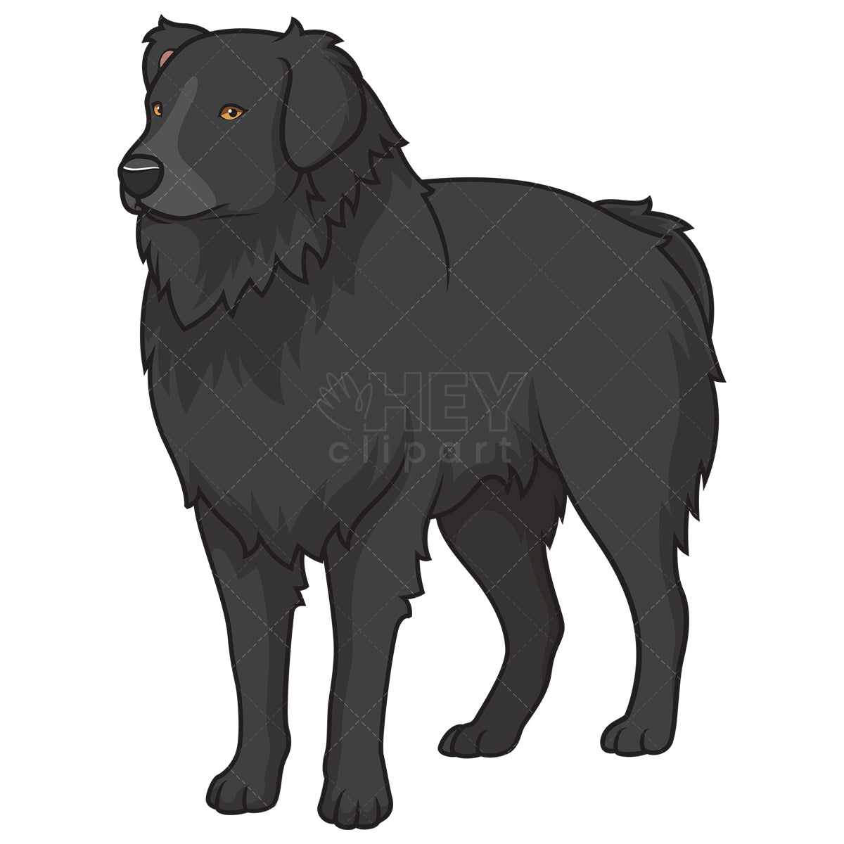 Royalty-free stock vector illustration of a gorgeous australian shepherd.