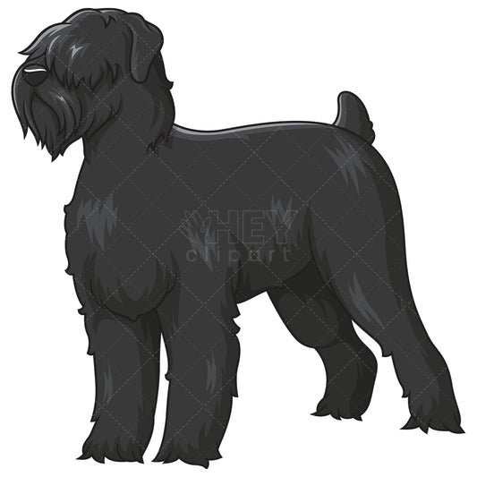 Royalty-free stock vector illustration of a gorgeous black russian terrier.