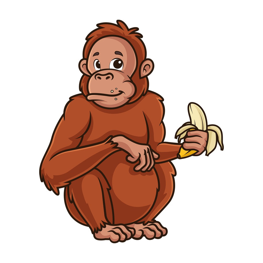 Orangutan eating banana. PNG - JPG and vector EPS (infinitely scalable).