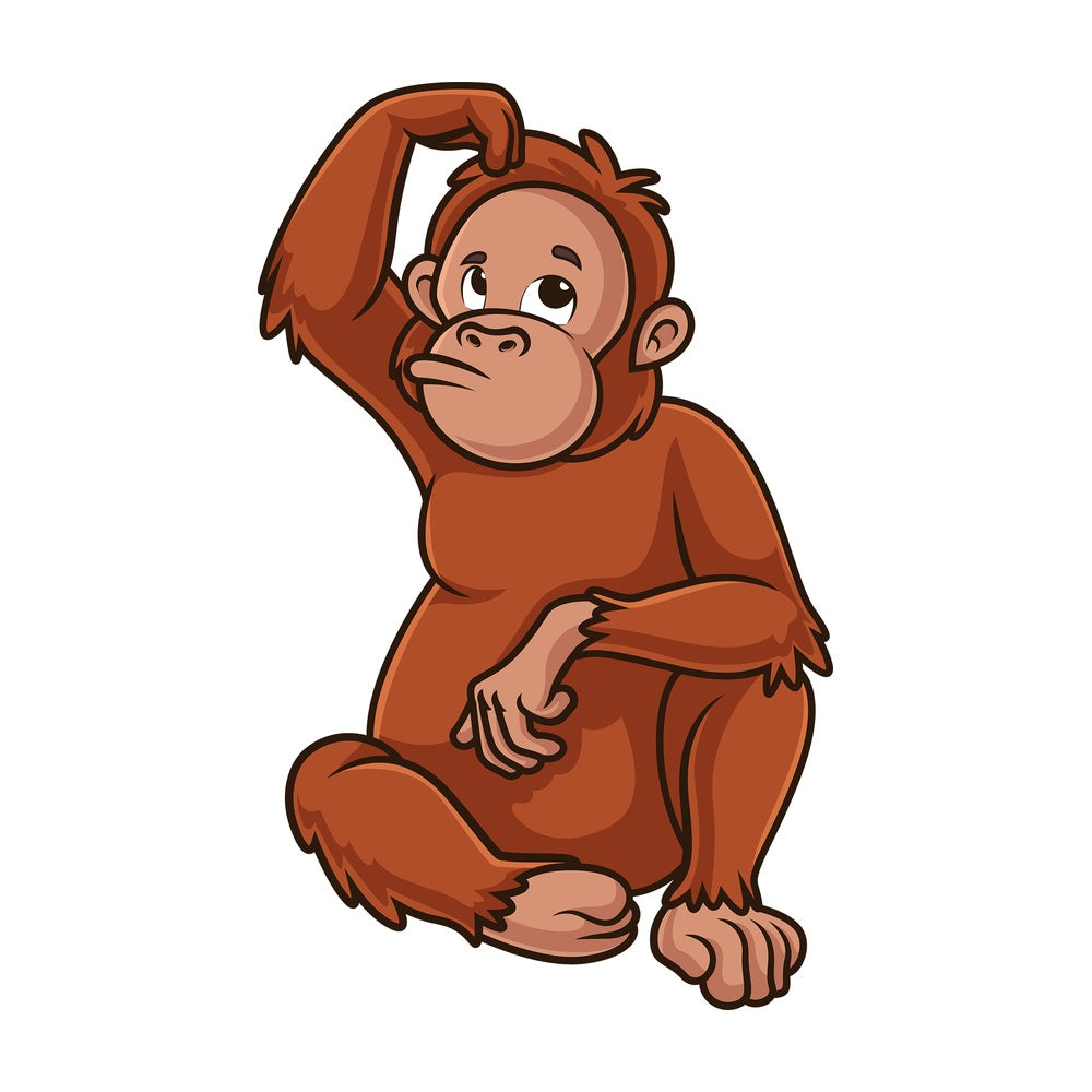 Orangutan scratching head. PNG - JPG and vector EPS (infinitely scalable).