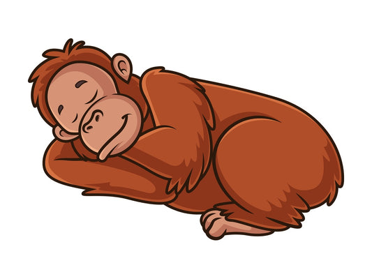 Orangutan sleeping. PNG - JPG and vector EPS (infinitely scalable).