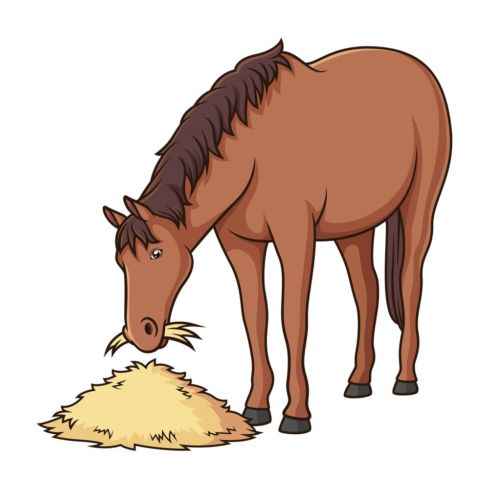 Horse eating hay. PNG - JPG and vector EPS (infinitely scalable).