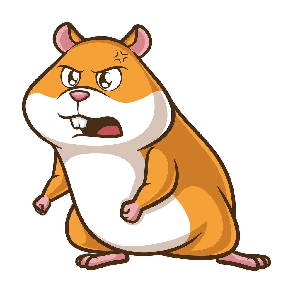 Angry hamster. PNG - JPG and vector EPS (infinitely scalable).