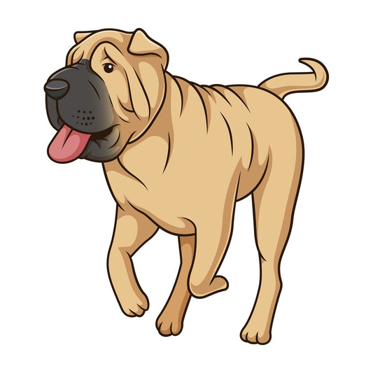 Shar pei dog running. PNG - JPG and vector EPS (infinitely scalable).