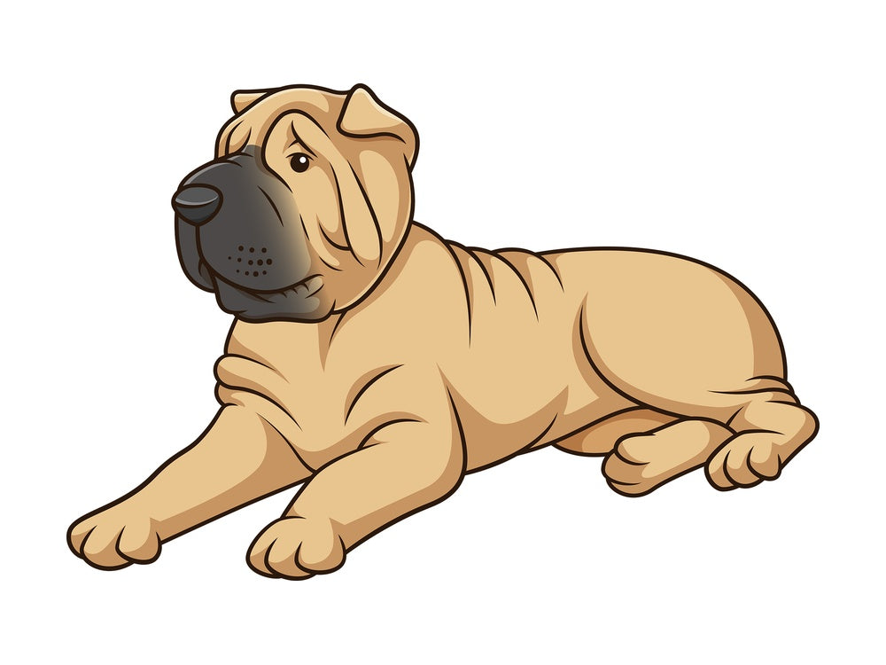 Shar pei dog lying down. PNG - JPG and vector EPS (infinitely scalable).