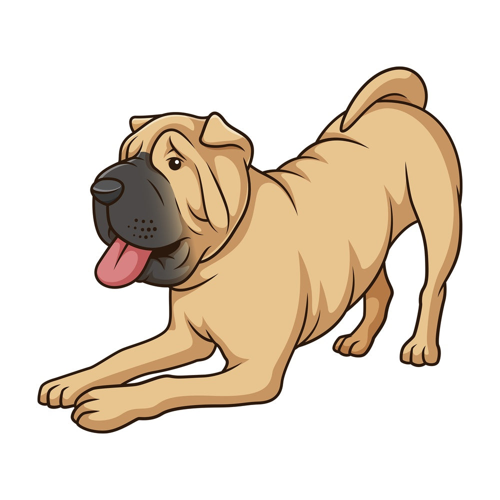 Playful shar pei dog. PNG - JPG and vector EPS (infinitely scalable).