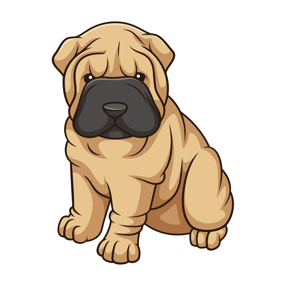 Cute shar pei dog puppy. PNG - JPG and vector EPS (infinitely scalable).