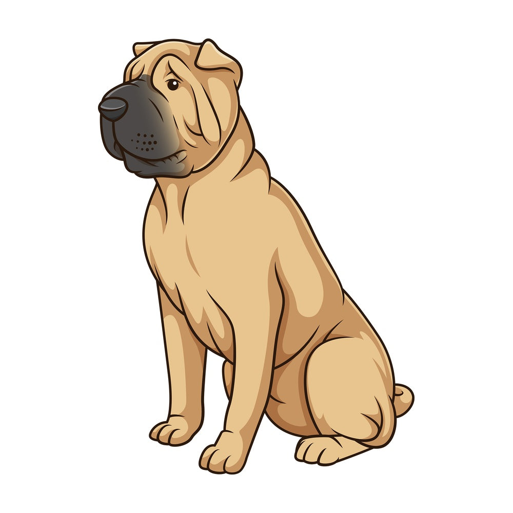 Obedient shar pei dog sitting. PNG - JPG and vector EPS (infinitely scalable).