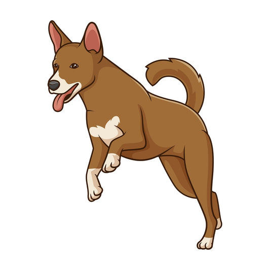 Basenji dog running. PNG - JPG and vector EPS (infinitely scalable).