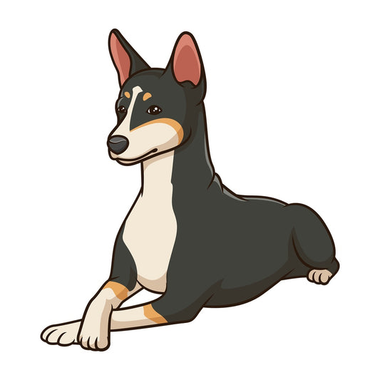 Basenji dog lying down. PNG - JPG and vector EPS (infinitely scalable).