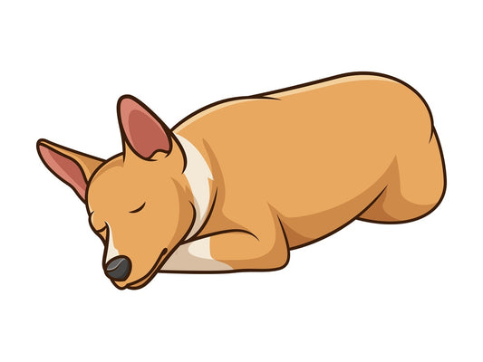 Sleeping basenji dog. PNG - JPG and vector EPS (infinitely scalable).