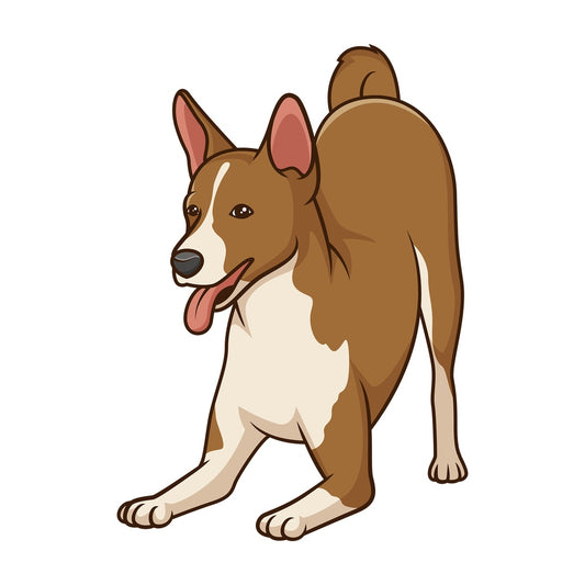Playful basenji dog. PNG - JPG and vector EPS (infinitely scalable).