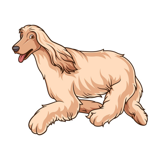 Afghan hound running. PNG - JPG and vector EPS (infinitely scalable).