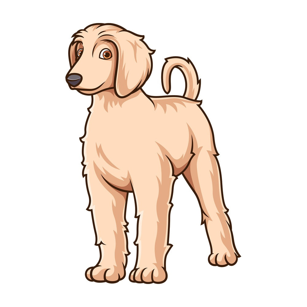 Cute afghan hound puppy. PNG - JPG and vector EPS (infinitely scalable).