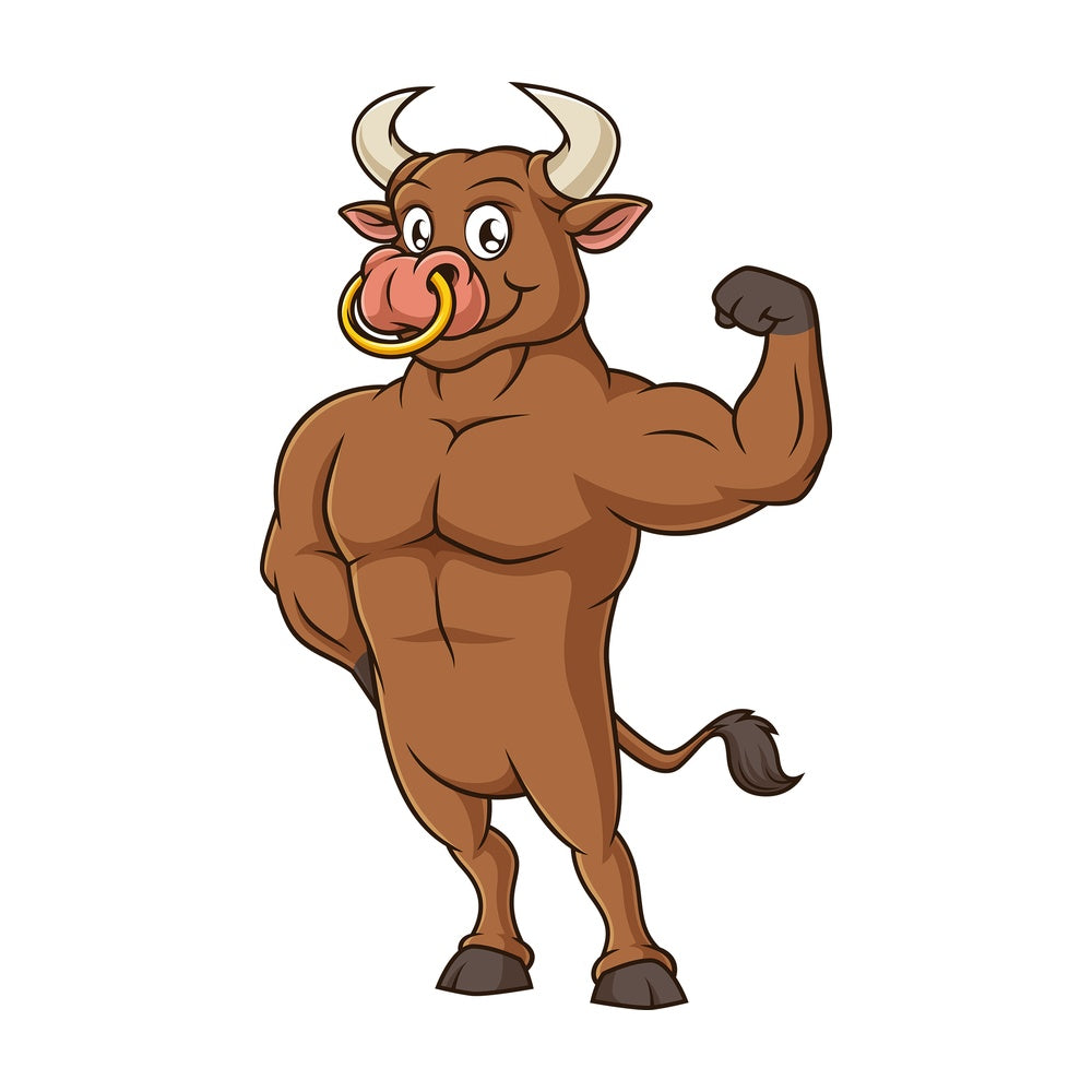Bull flexing muscles. PNG - JPG and vector EPS (infinitely scalable).