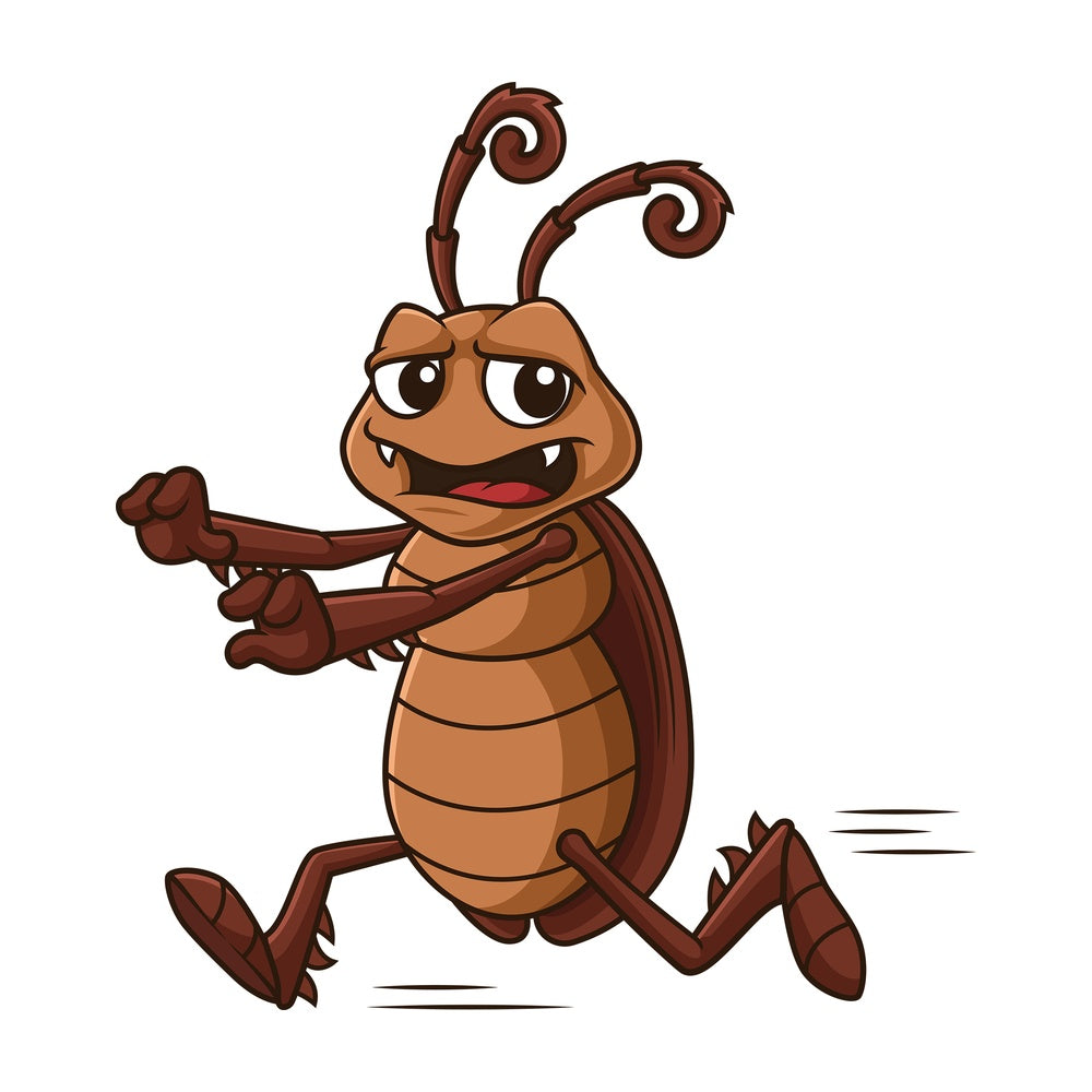Scared cockroach running. PNG - JPG and vector EPS file formats (infinitely scalable). Image isolated on transparent background.