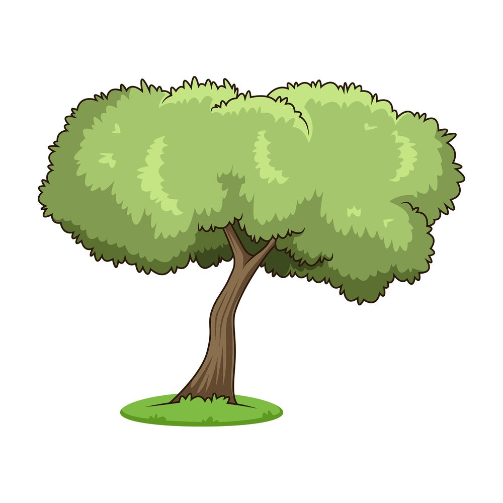Olive tree. PNG - JPG and vector EPS (infinitely scalable).