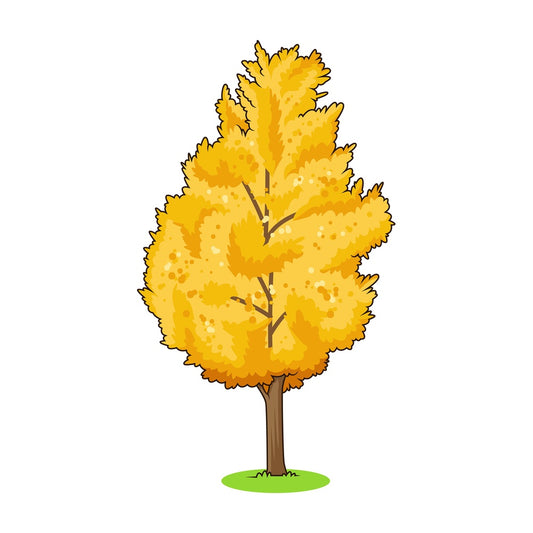 Maidenhair tree. PNG - JPG and vector EPS (infinitely scalable).