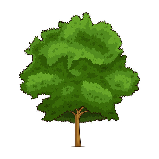 White oak tree. PNG - JPG and vector EPS (infinitely scalable).