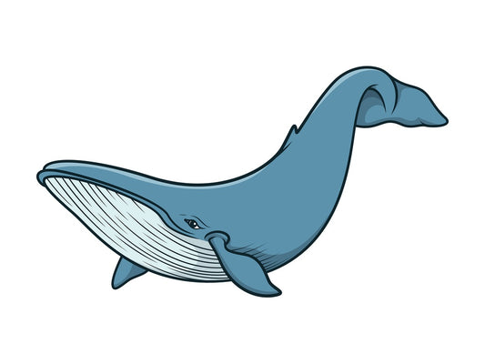 Blue whale. PNG - JPG and vector EPS (infinitely scalable).