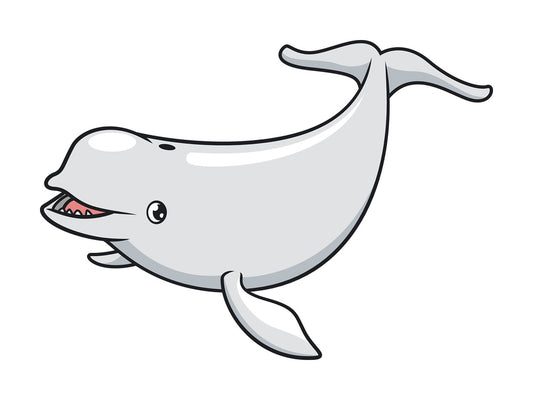 Beluga whale. PNG - JPG and vector EPS (infinitely scalable).
