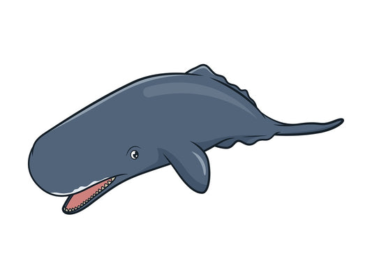 Sperm whale. PNG - JPG and vector EPS (infinitely scalable).
