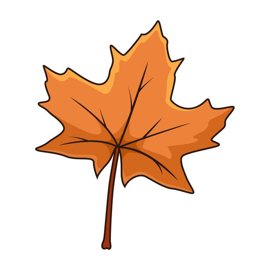 Brown autumn maple leaf. PNG - JPG and vector EPS file formats (infinitely scalable). Image isolated on transparent background.