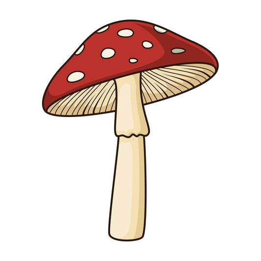 Autumn mushroom. PNG - JPG and vector EPS file formats (infinitely scalable). Image isolated on transparent background.